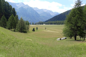 Passo del Tonale Image (2)